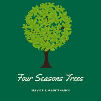 Four Seasons Trees image 1